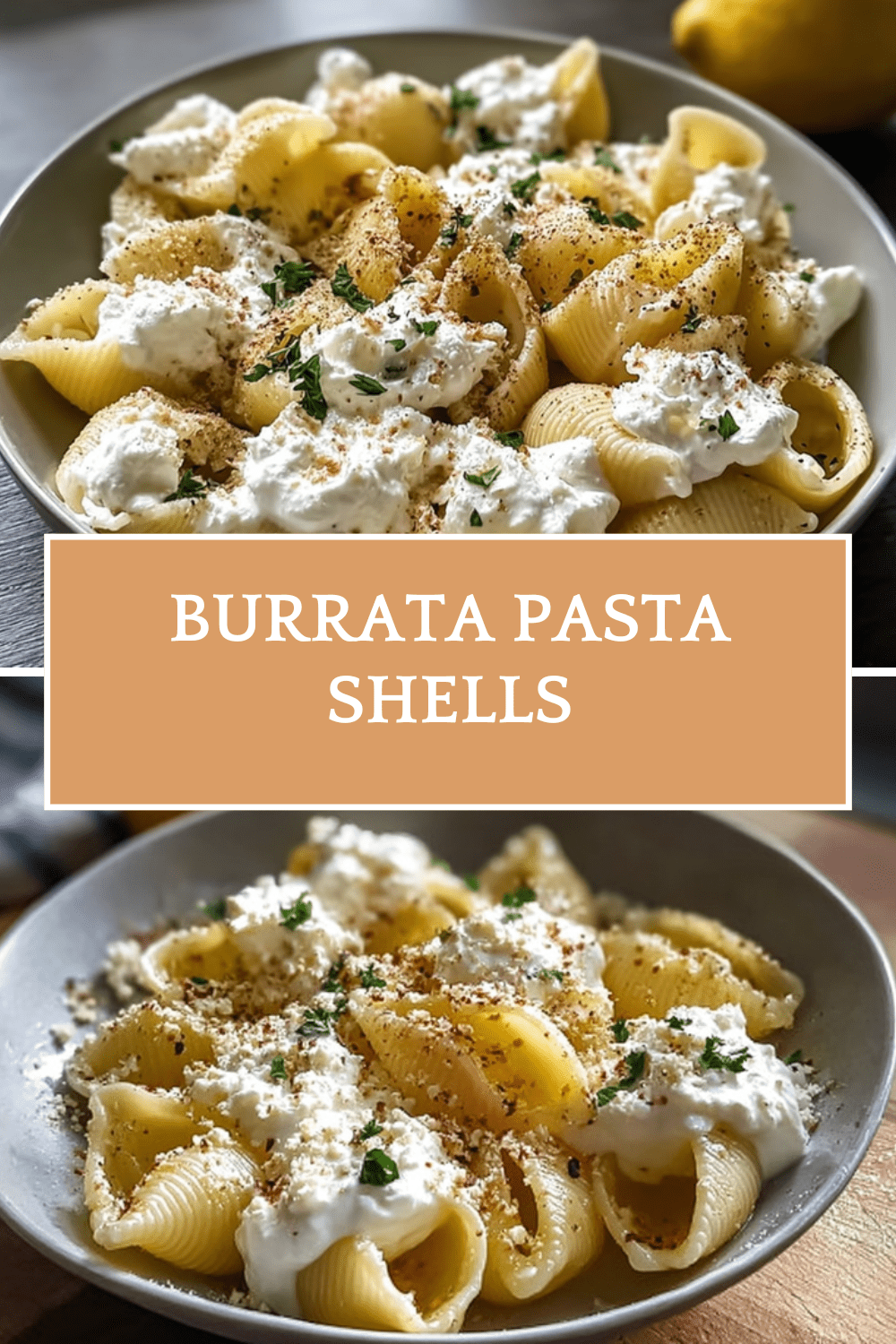 Burrata Pasta Shells