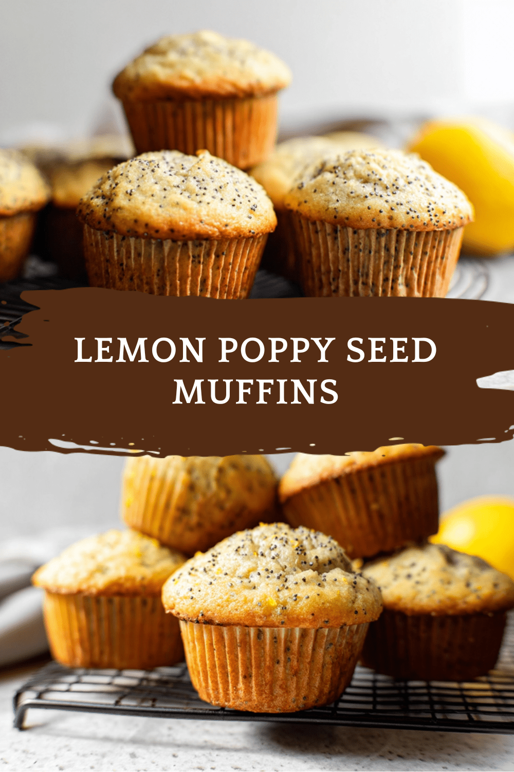 Lemon Poppy Seed Muffins Easy Moist Recipe 7 Lemon Poppy Seed Muffins