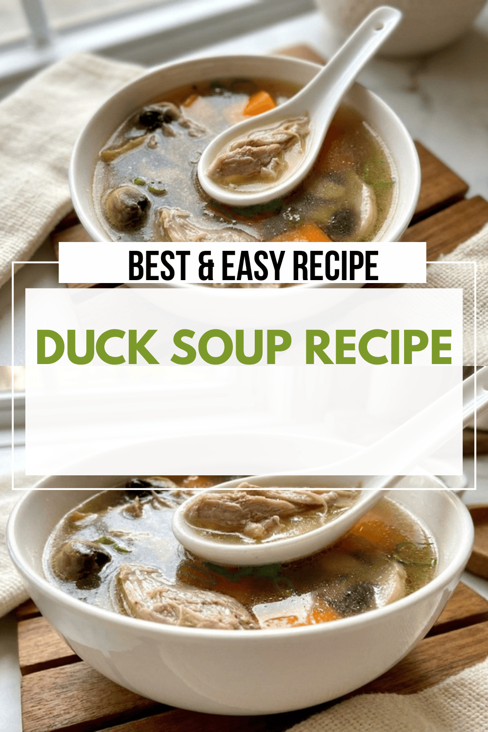 Best Duck Soup Recipe Easy Homemade 4 Duck Soup Recipe