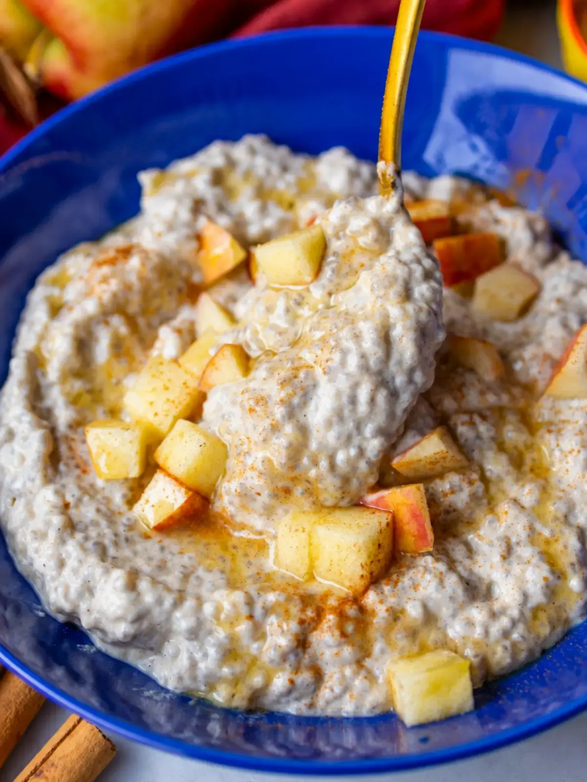 2 Apple Chia Pudding Recipes, Apple Chia Pudding (Healthy Greek Yogurt Breakfast)
