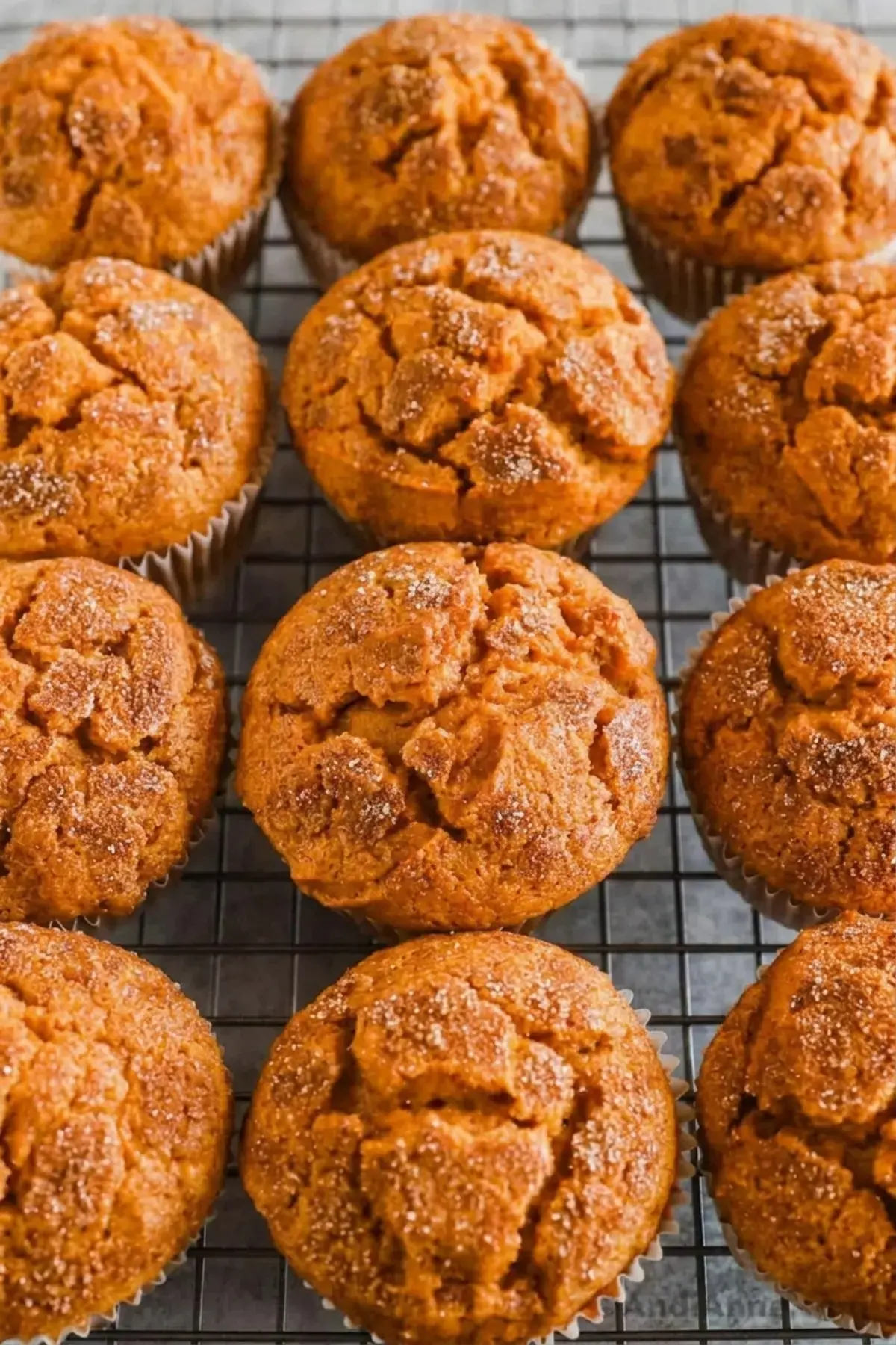 Pumpkin Muffins, How To Store Muffins