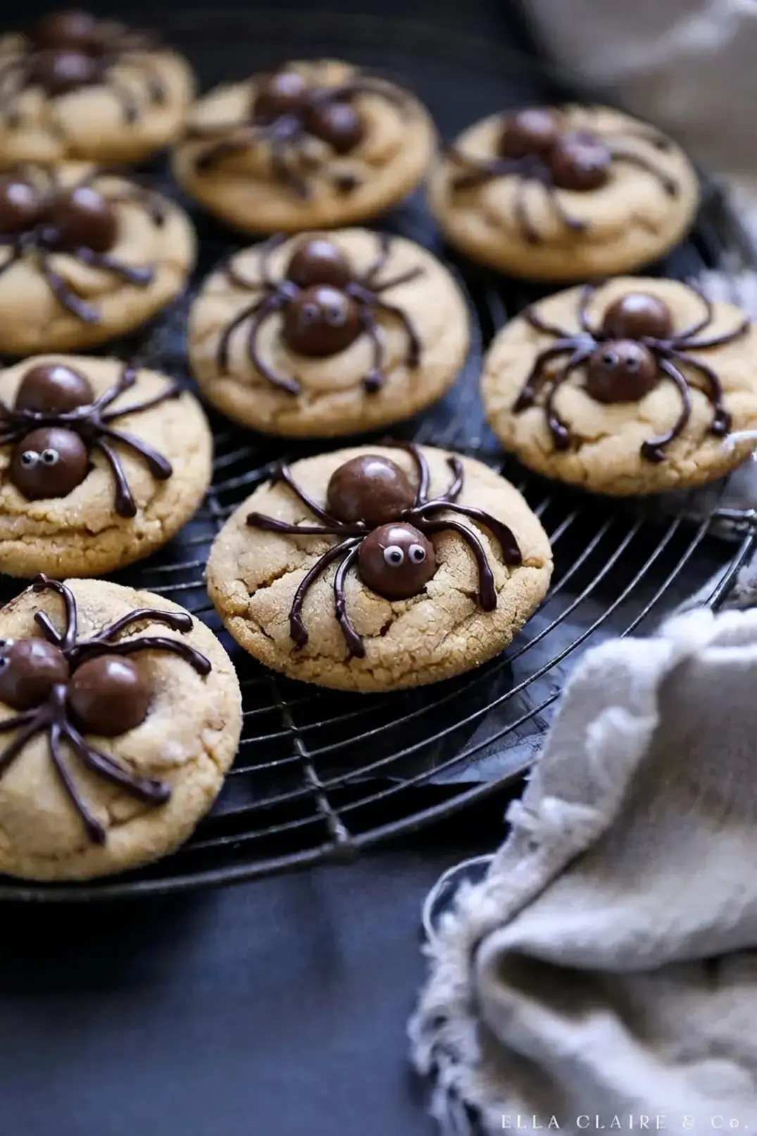 Peanut Butter Spider Cookies, How To Store